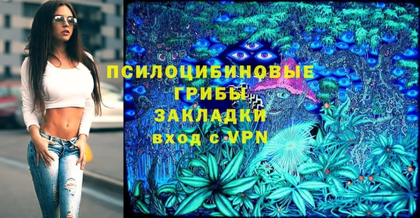 гидропоника Верея