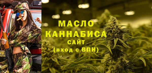 мдпв Верхний Тагил