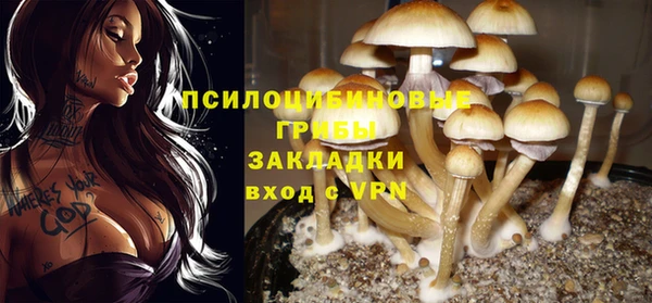 гидропоника Верея