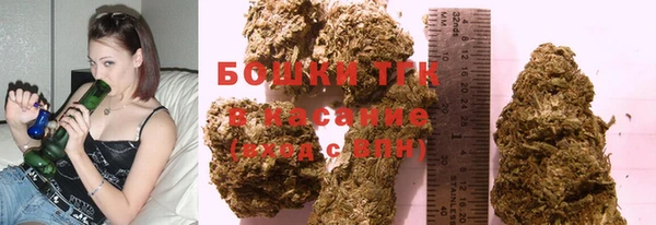 мдпв Верхний Тагил